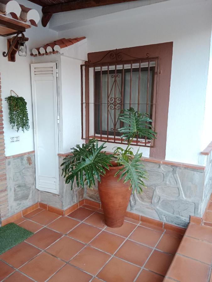 Villa Camaron 阿尔姆尼卡 外观 照片